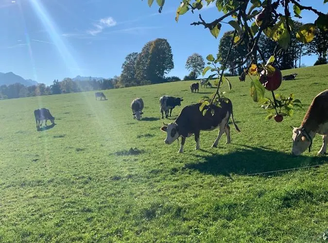 Altenhauser Hof مزرعة للإقامة *