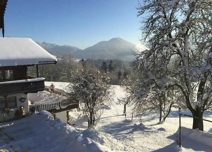 مزرعة للإقامة Altenhauser Hof كوسن