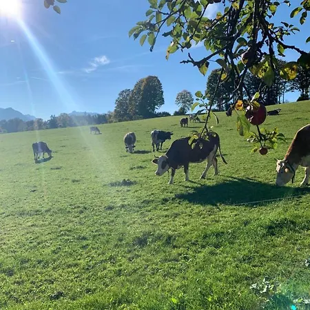 Altenhauser Hof Farm stay *